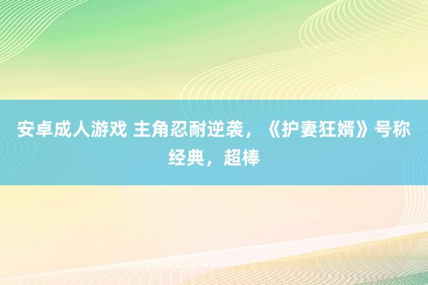 安卓成人游戏 主角忍耐逆袭，《护妻狂婿》号称经典，超棒