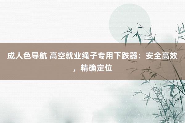 成人色导航 高空就业绳子专用下跌器：安全高效，精确定位