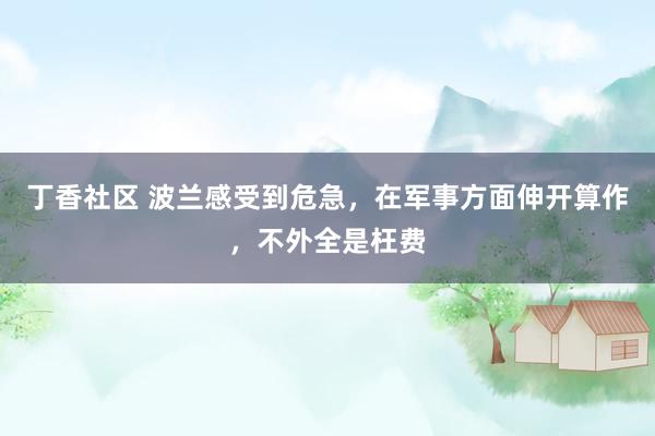 丁香社区 波兰感受到危急，在军事方面伸开算作，不外全是枉费