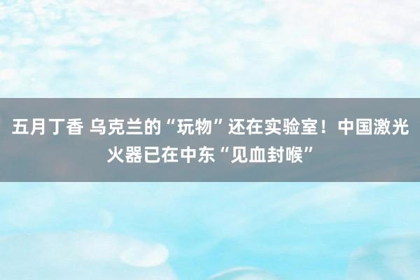 五月丁香 乌克兰的“玩物”还在实验室！中国激光火器已在中东“见血封喉”