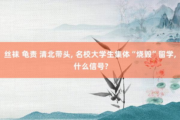 丝袜 龟责 清北带头, 名校大学生集体“烧毁”留学, 什么信号?
