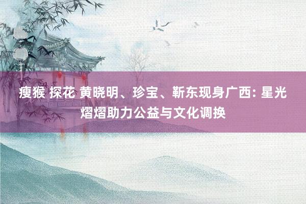 瘦猴 探花 黄晓明、珍宝、靳东现身广西: 星光熠熠助力公益与文化调换