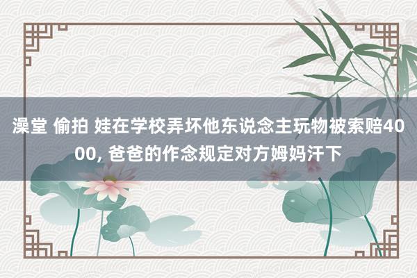 澡堂 偷拍 娃在学校弄坏他东说念主玩物被索赔4000, 爸爸的作念规定对方姆妈汗下