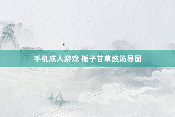 手机成人游戏 栀子甘草豉汤导图
