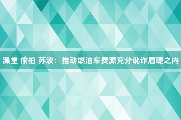 澡堂 偷拍 苏波：推动燃油车费源充分讹诈眉睫之内