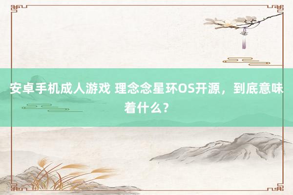 安卓手机成人游戏 理念念星环OS开源，到底意味着什么？