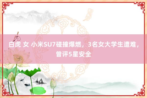 白虎 女 小米SU7碰撞爆燃，3名女大学生遭难，曾评5星安全