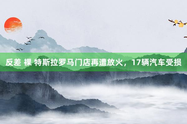 反差 裸 特斯拉罗马门店再遭放火，17辆汽车受损