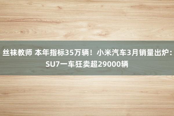 丝袜教师 本年指标35万辆！小米汽车3月销量出炉：SU7一车狂卖超29000辆